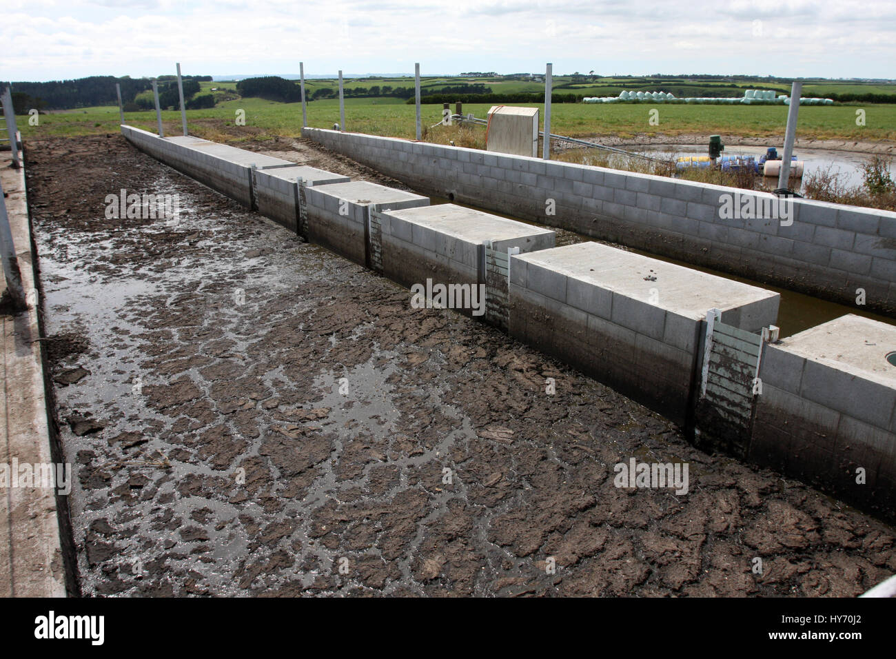 Weeping Wall effluent system, New Zealand Dairy Farm Stock Photo - Alamy