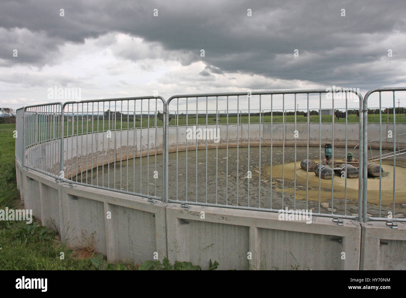 Effluent holding ponds on New Zealand Dairy Farm Stock Photo - Alamy
