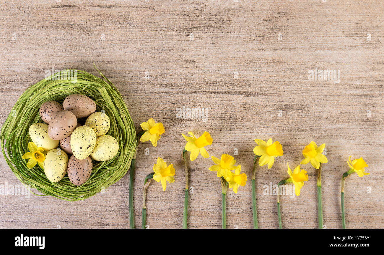 Arrangement with Easter eggs in green straw nest and flowers on light brown background Stock Photo