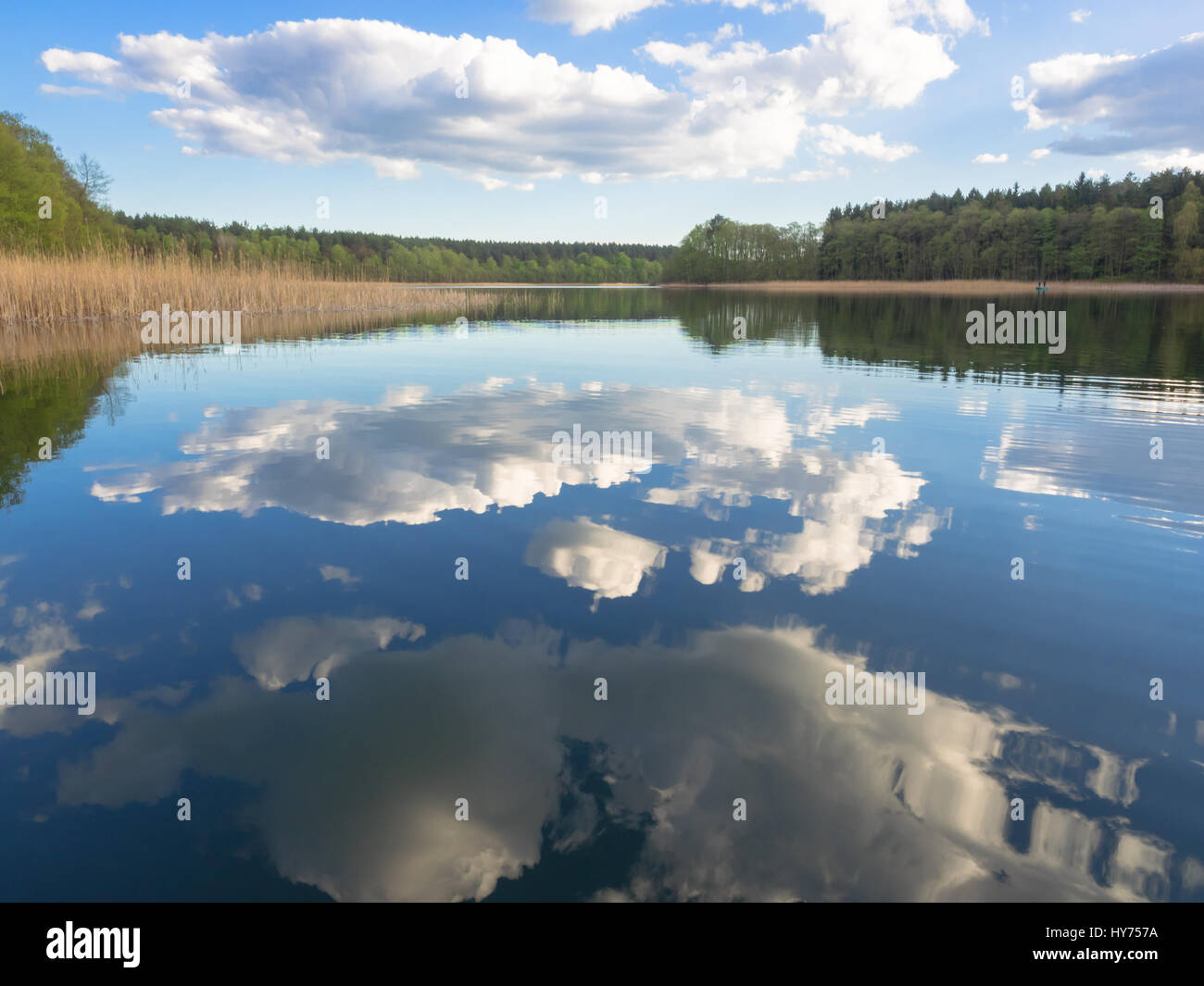 Mirroring of blue sky with clouds in a lake in Germany Stock Photo - Alamy