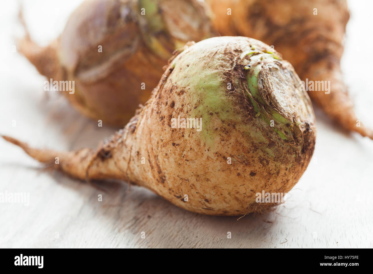 Moroccan fresh raw swedes close up Stock Photo