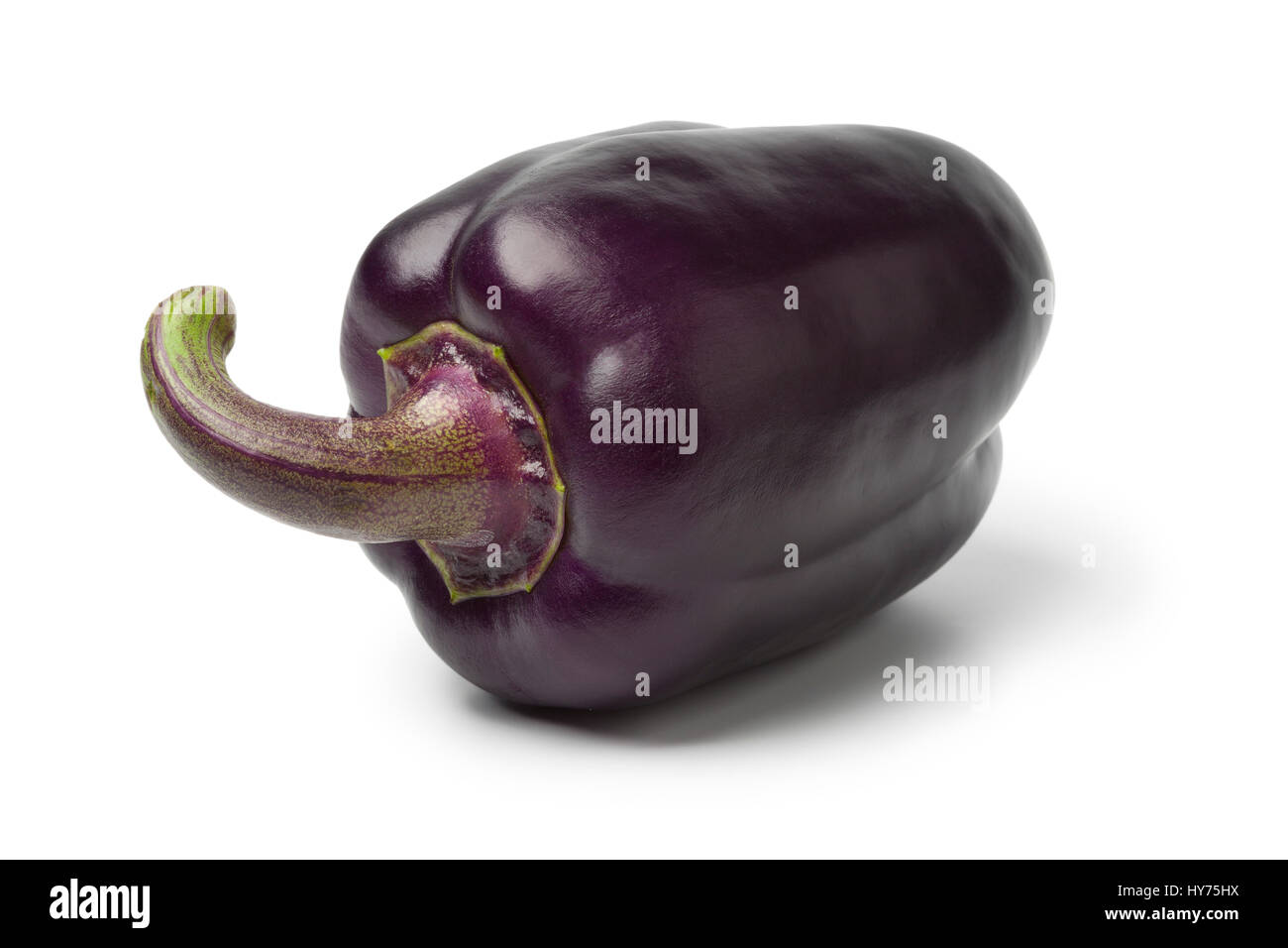 Single purple fresh bell pepper on white background Stock Photo