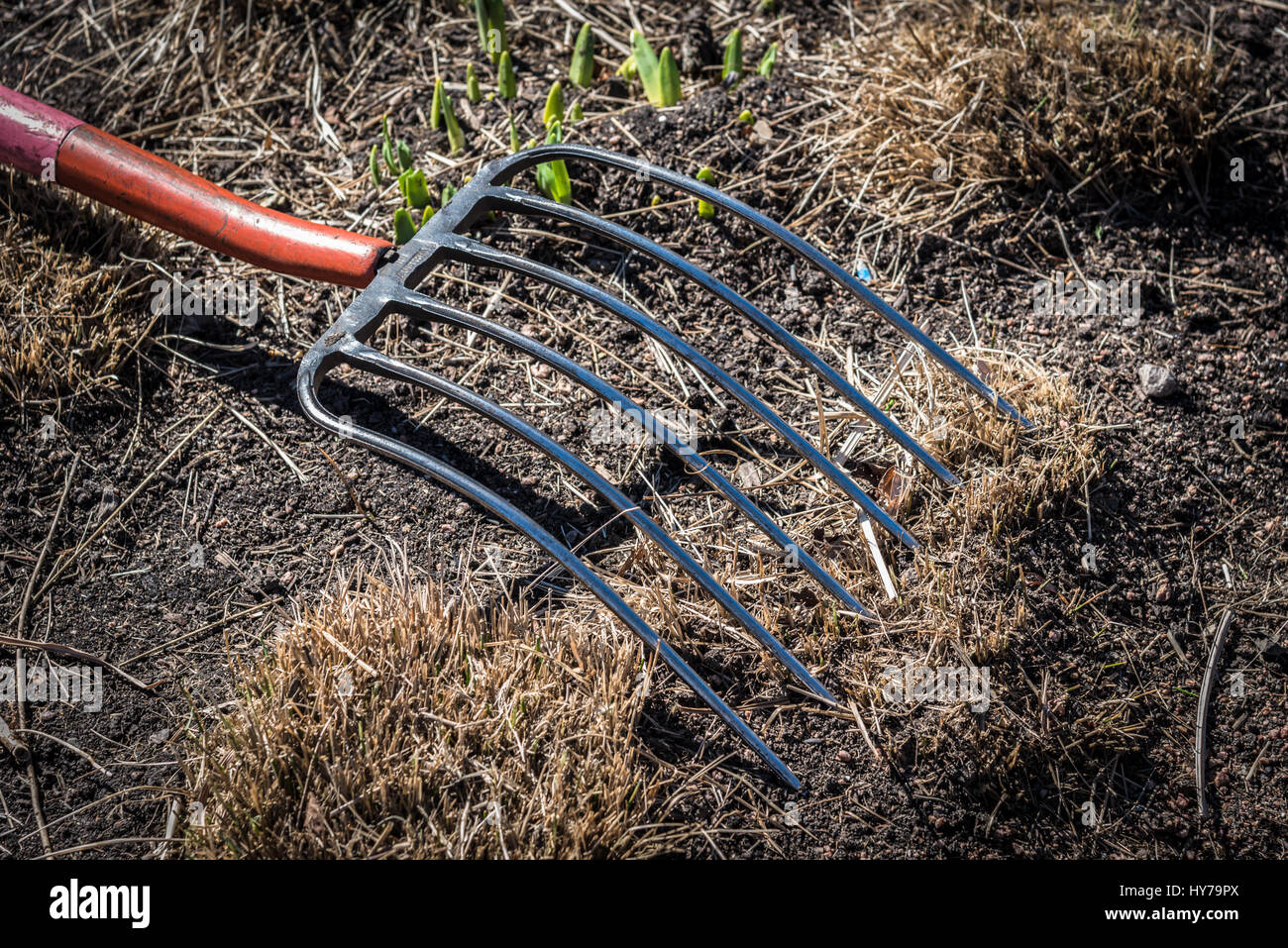 Pitchfork hires stock photography and images Alamy