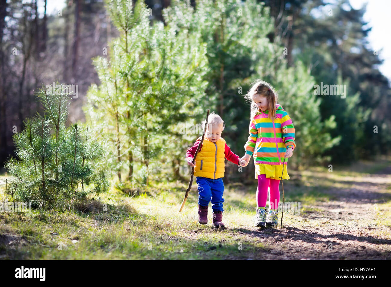 Little boy and girl camping and hiking in sunny summer forest. Kids hike in the Alps mountains. Family with children on autumn trekking trip and camp  Stock Photo