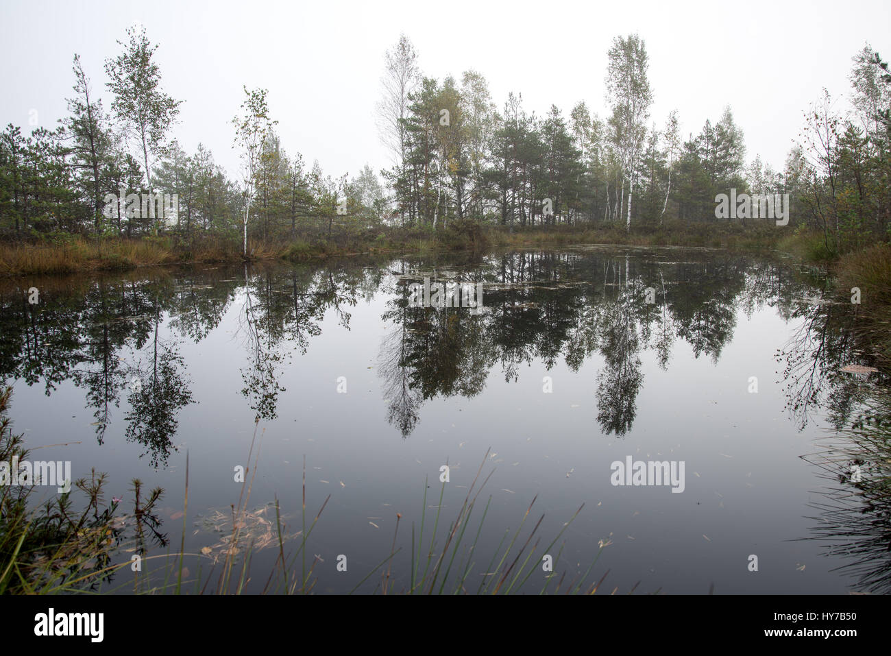 Autumn lake with reflections of trees and clouds Stock Photo - Alamy