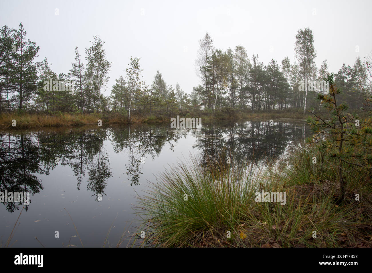 Autumn lake with reflections of trees and clouds Stock Photo - Alamy