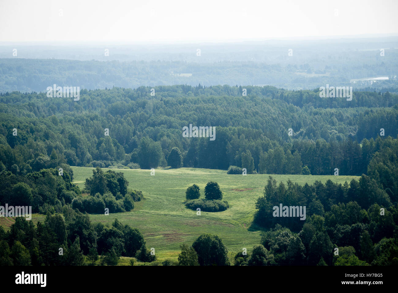 panoramic view of misty green forest. far horizon Stock Photo - Alamy