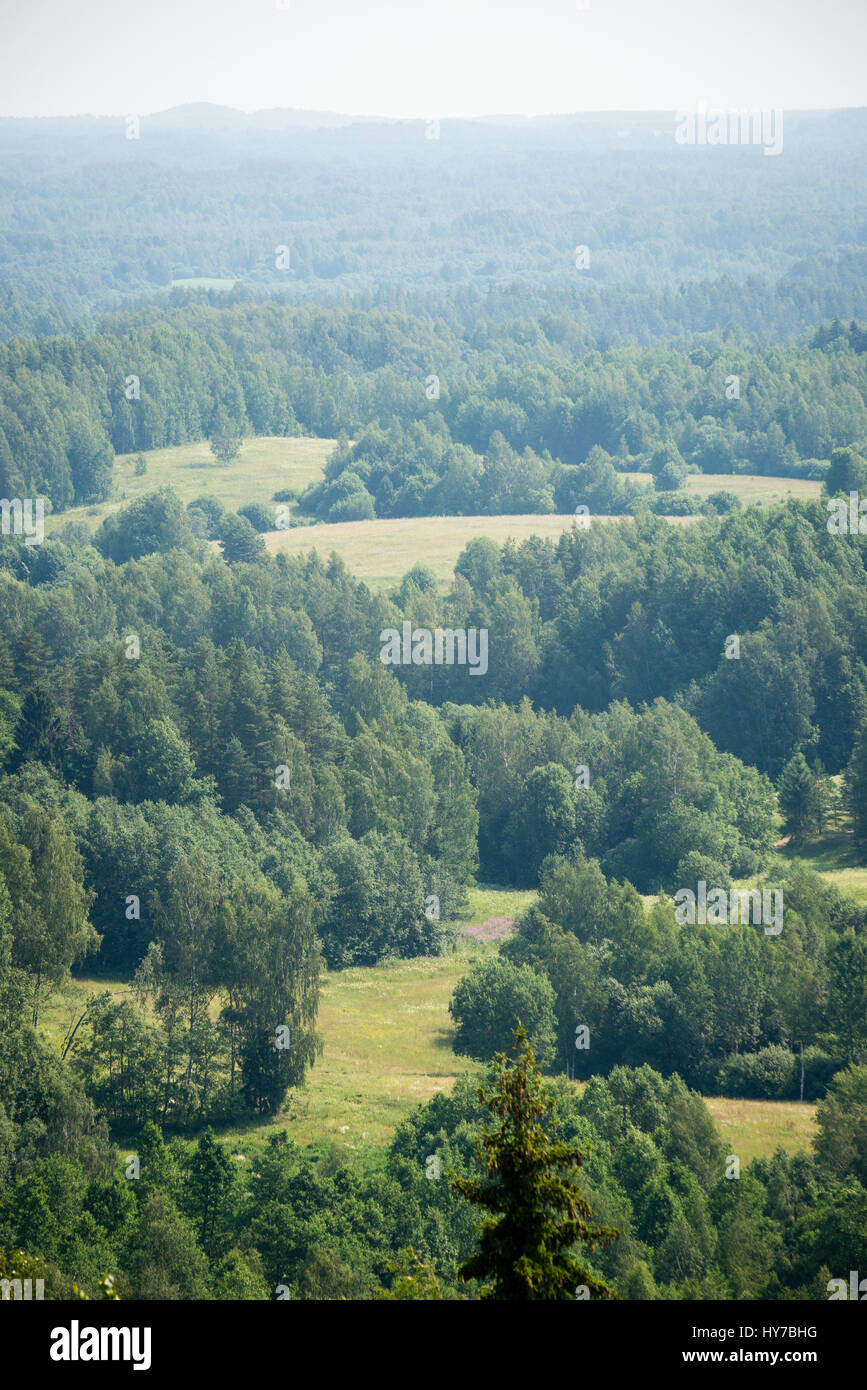 panoramic view of misty green forest. far horizon Stock Photo - Alamy