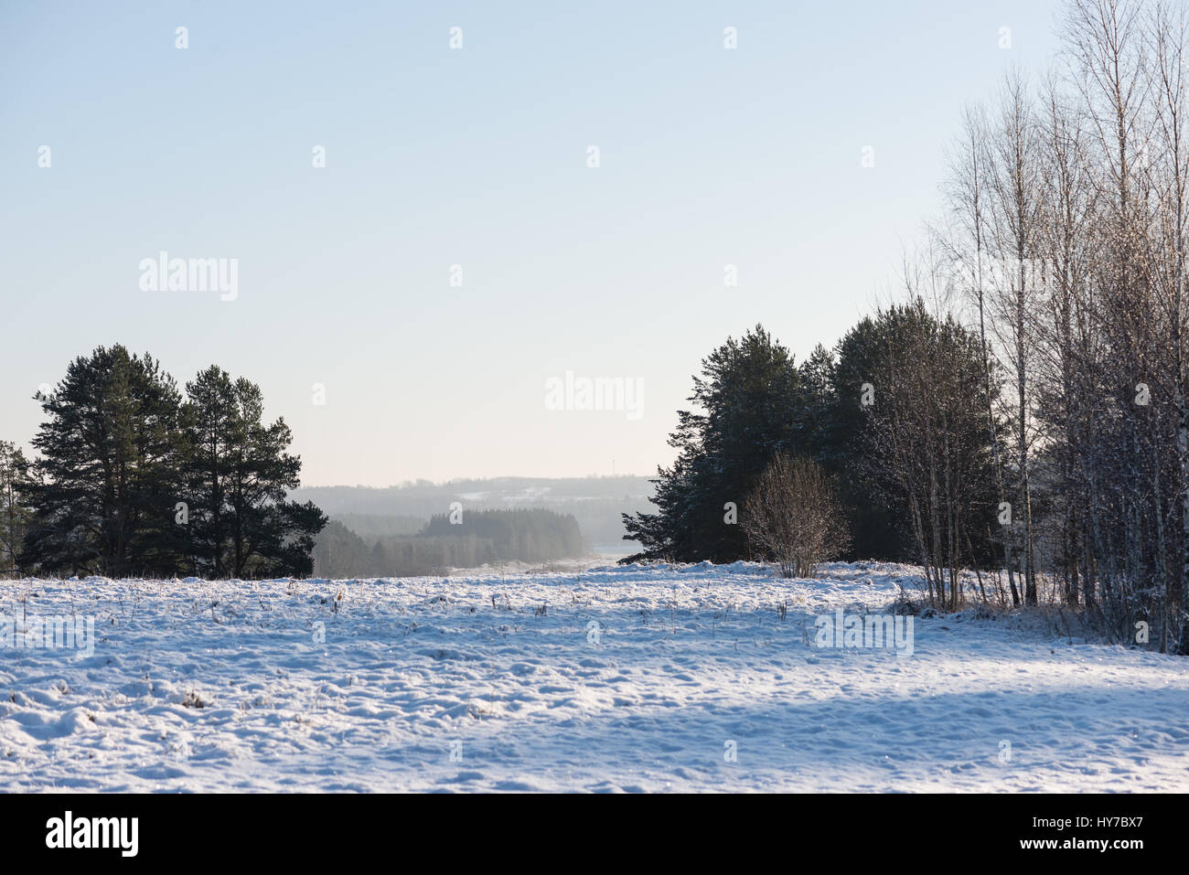 beautiful snowy winter landscape with trees and blue sky Stock Photo ...