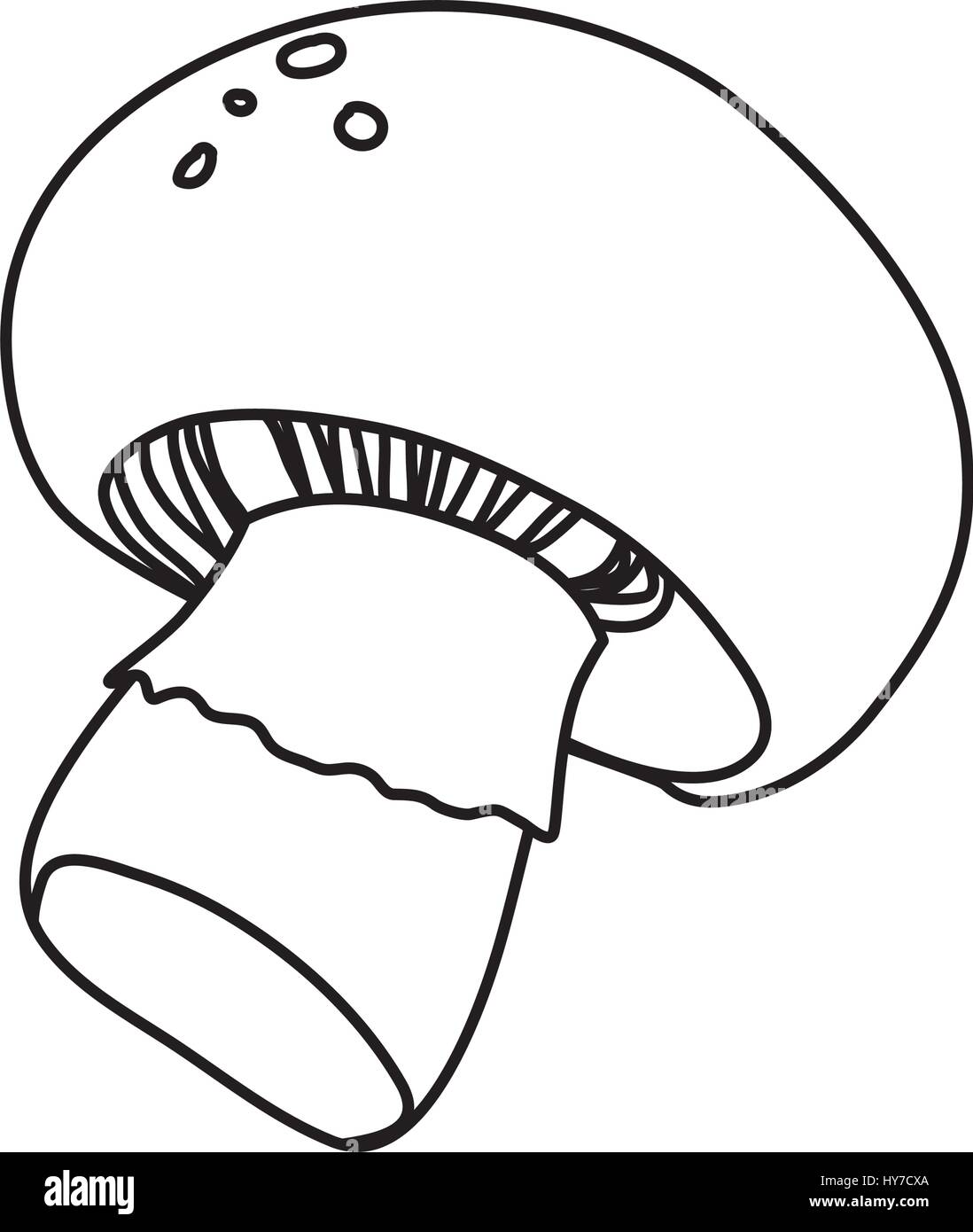 mushroom champignon slice vegetable vector icon illustration Stock Vector Image & Art Alamy