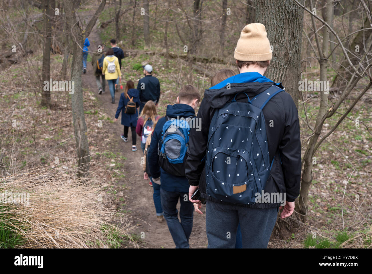 Group of friends walking with backpacks in spring forest from back ...