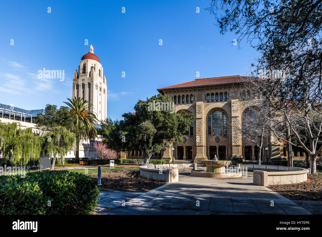 Stanford University Campus and Hoover Tower - Palo Alto, California, USA Stock Photo