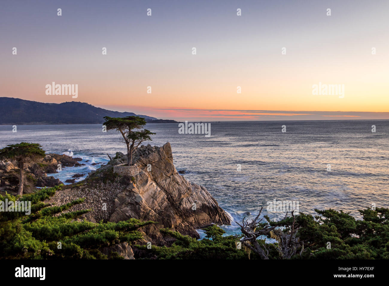 Lone Cypress tree view at sunset  along famous 17 Mile Drive - Monterey, California, USA Stock Photo