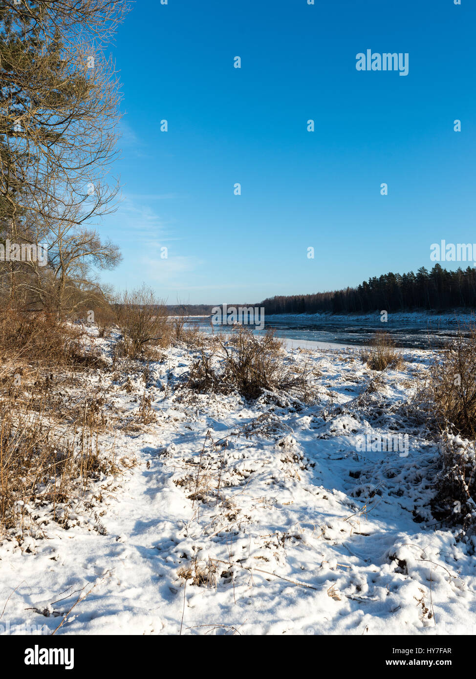 beautiful snowy winter landscape with trees and blue sky Stock Photo ...