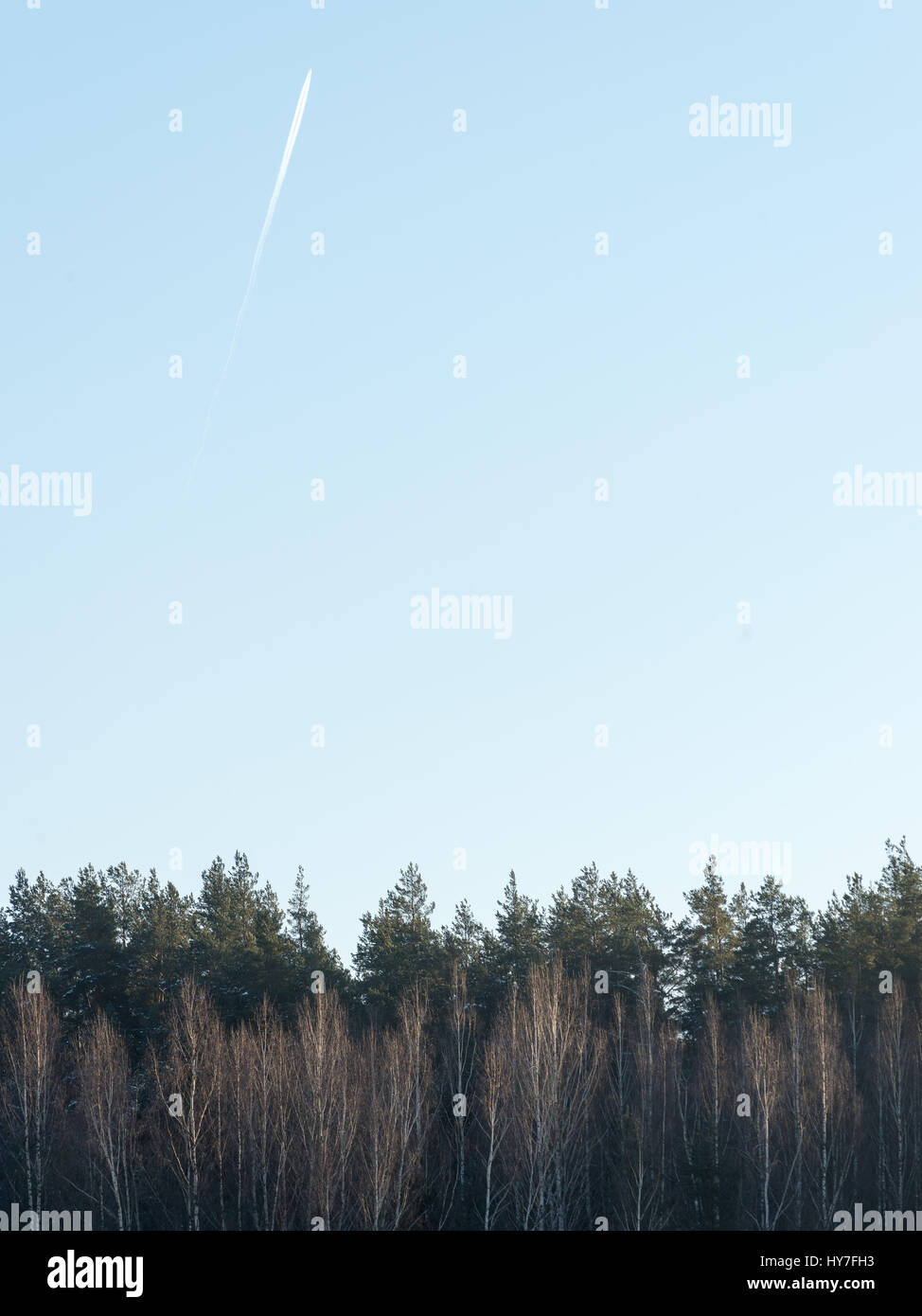beautiful snowy winter landscape with trees and blue sky Stock Photo ...