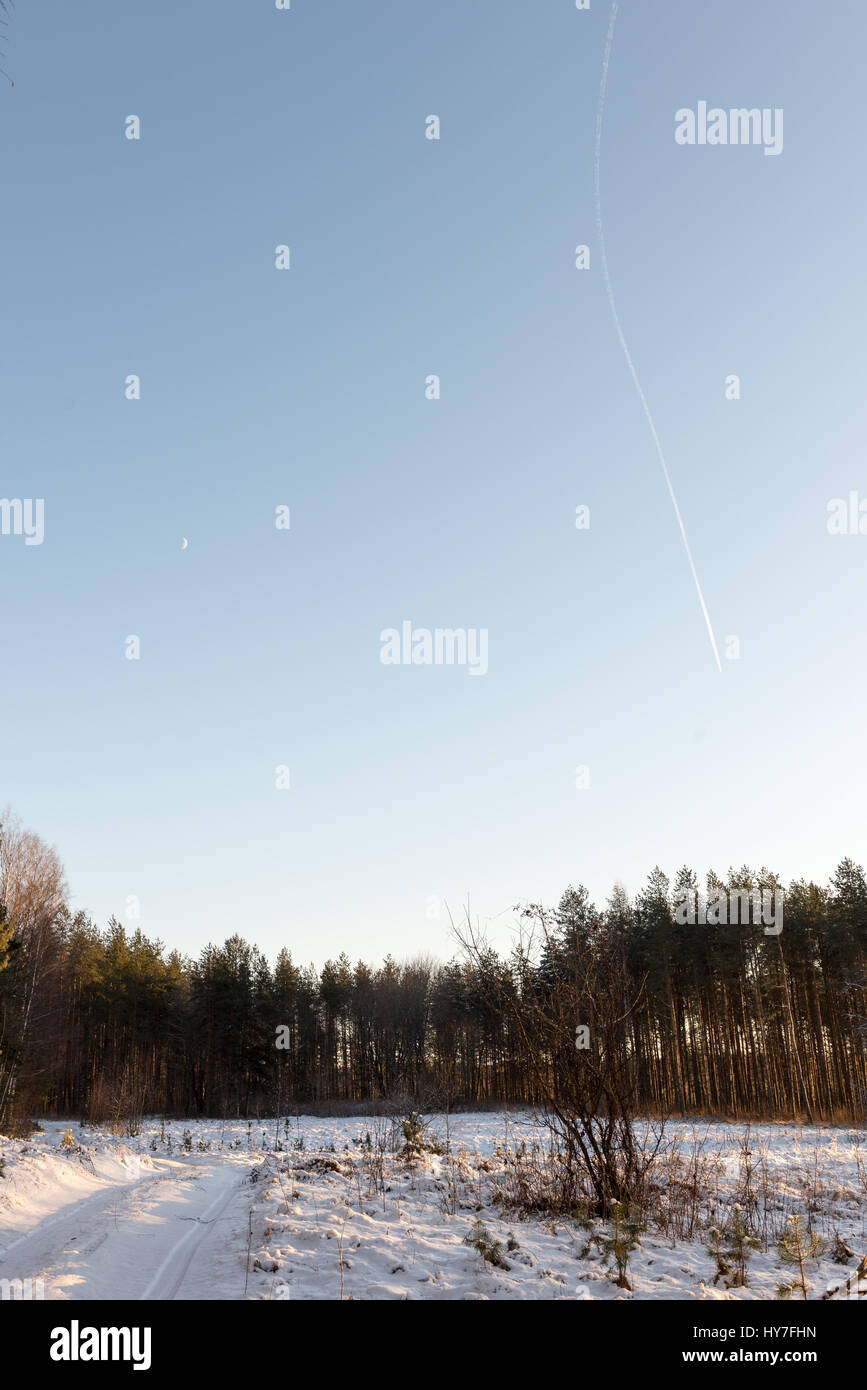 beautiful snowy winter landscape with trees and blue sky Stock Photo ...