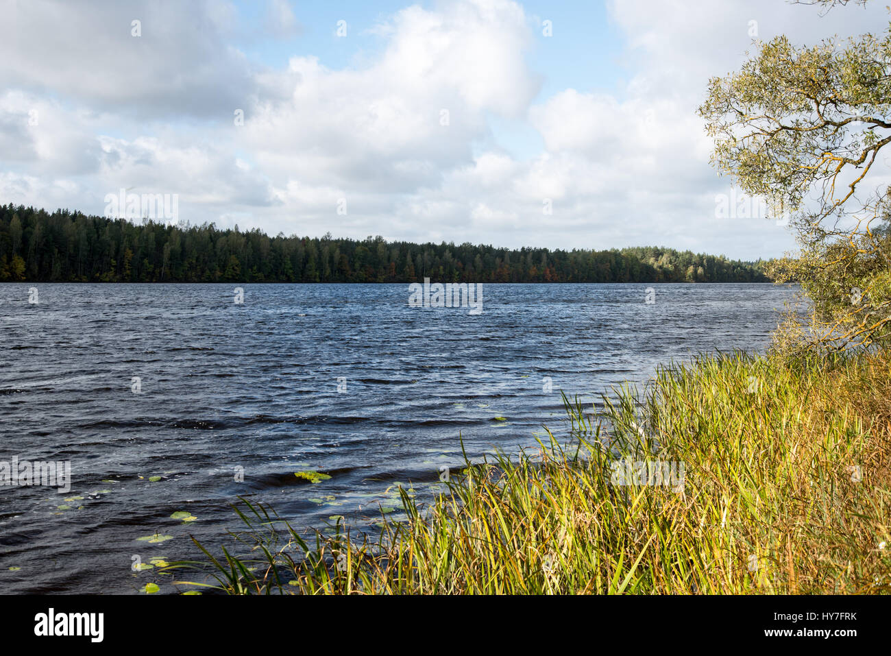 Autumn lake with reflections of trees and clouds Stock Photo - Alamy