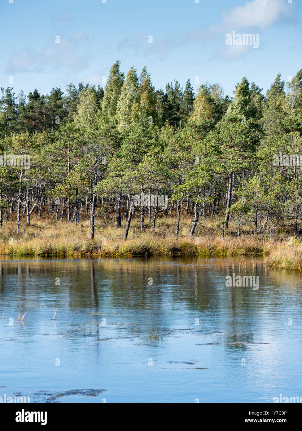 Autumn lake with reflections of trees and clouds Stock Photo - Alamy