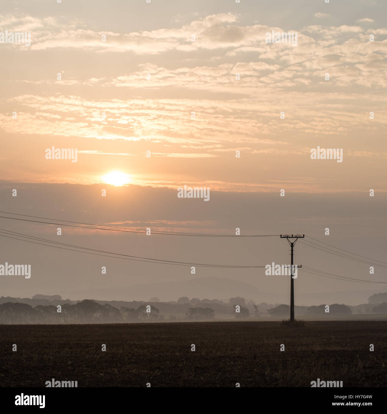 sunset over the fields in fog in summer with electricity poles Stock ...