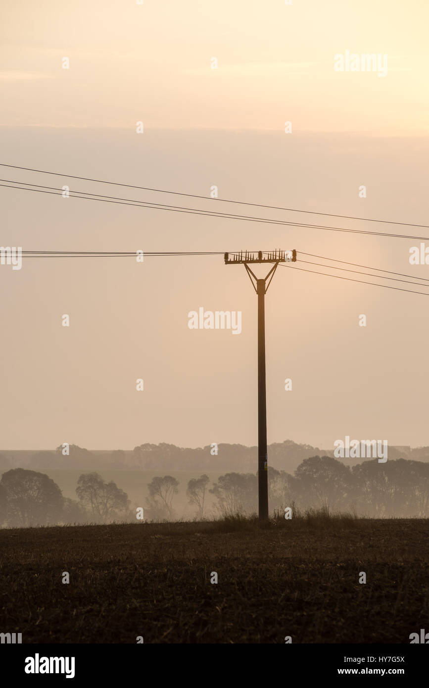 sunset over the fields in fog in summer with electricity poles Stock ...