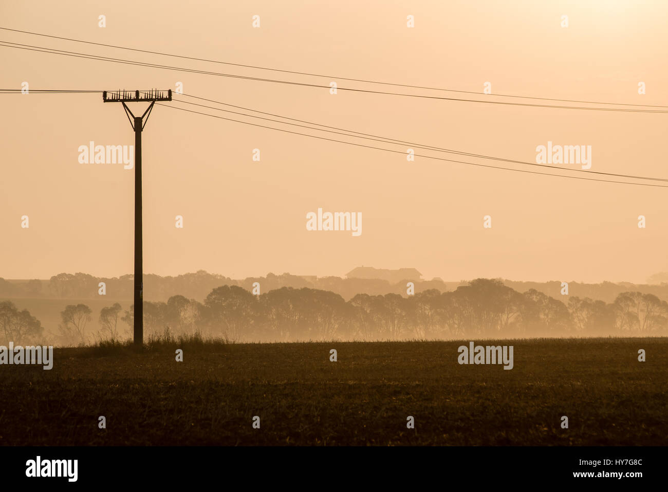 sunset over the fields in fog in summer with electricity poles Stock ...