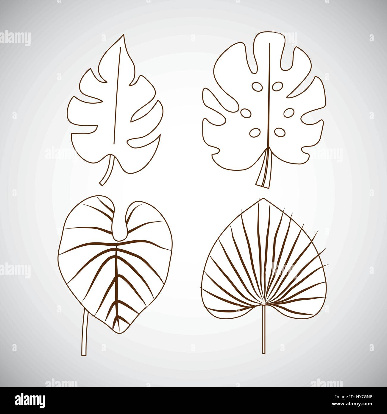 tropical leaves icon set over white background. vector illustration ...