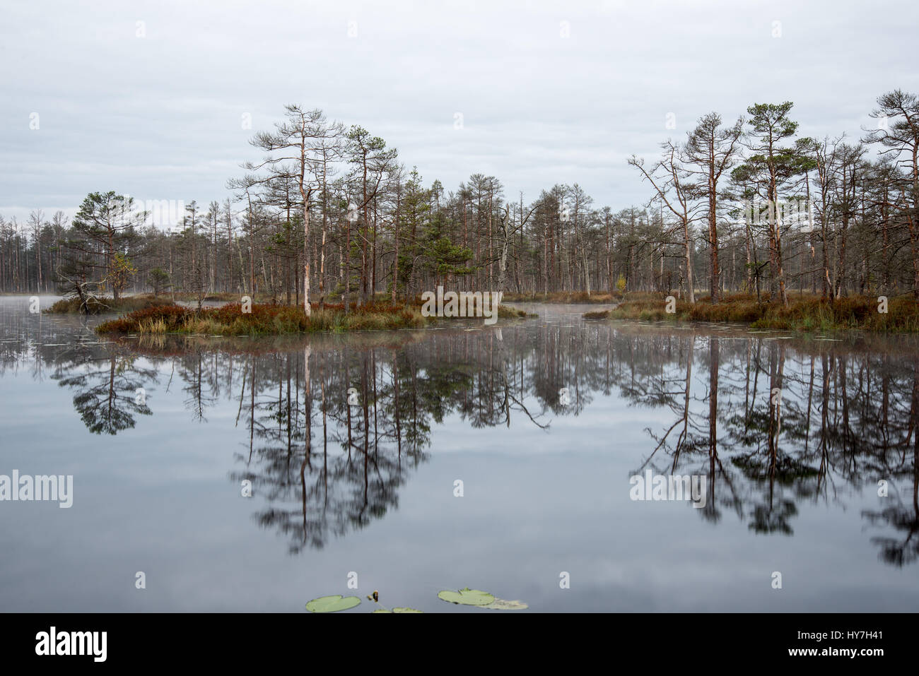 reflections in the lake water at sunrise Stock Photo - Alamy
