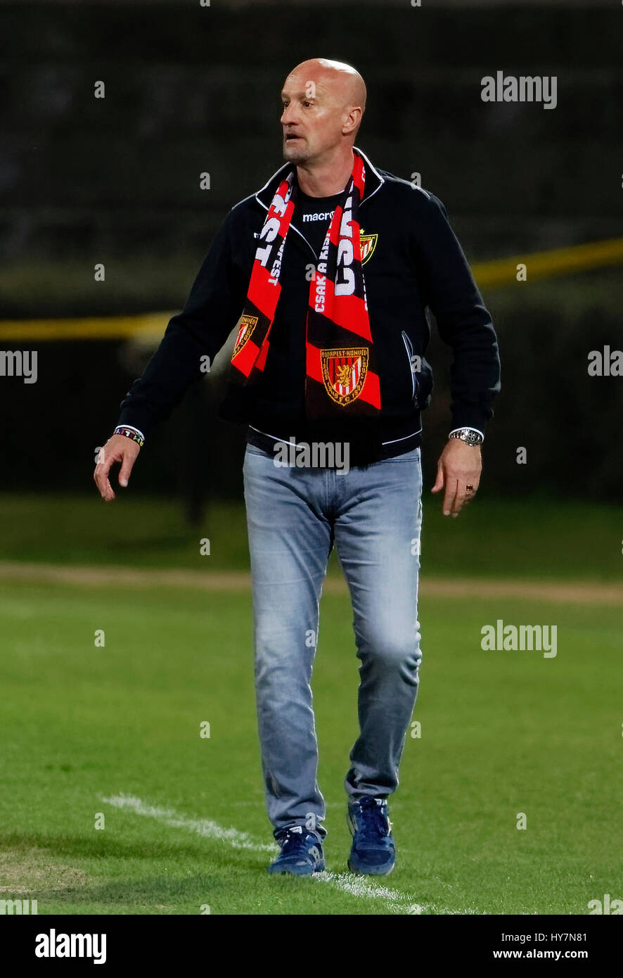 Budapest, Hungary. 1st April, 2017. Head coach Marco Rossi of Budapest Honved watches the game during the Hungarian OTP Bank Liga match between Budapest Honved and Ferencvarosi TC at Bozsik Stadium on April 1, 2017 in Budapest, Hungary. Credit: Laszlo Szirtesi/Alamy Live News Stock Photo