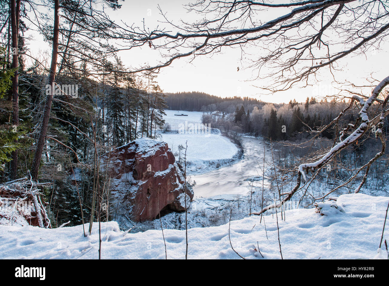 snowy winter forest with snow covered trees in country Stock Photo - Alamy