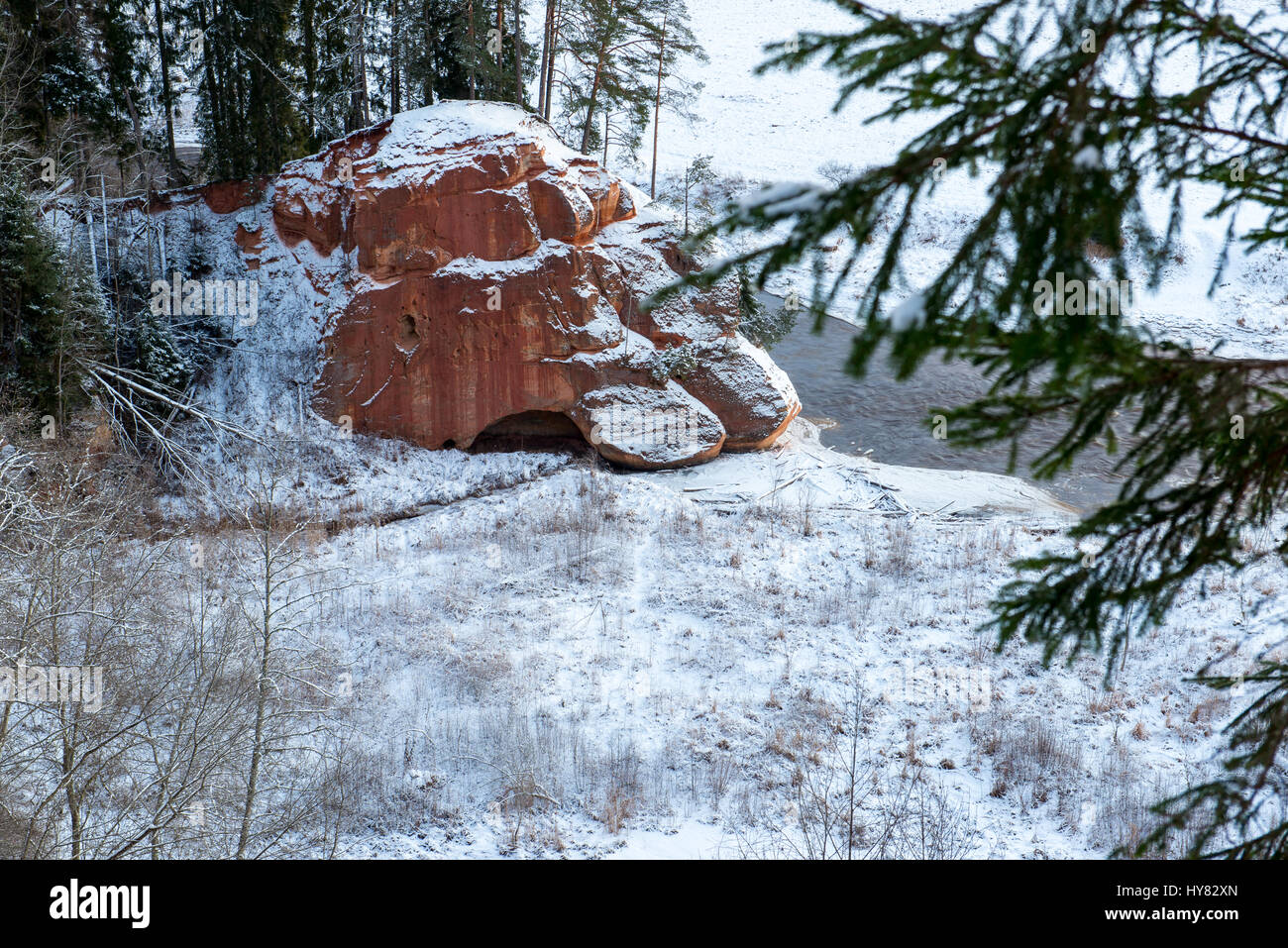 snowy winter forest with snow covered trees in country Stock Photo - Alamy