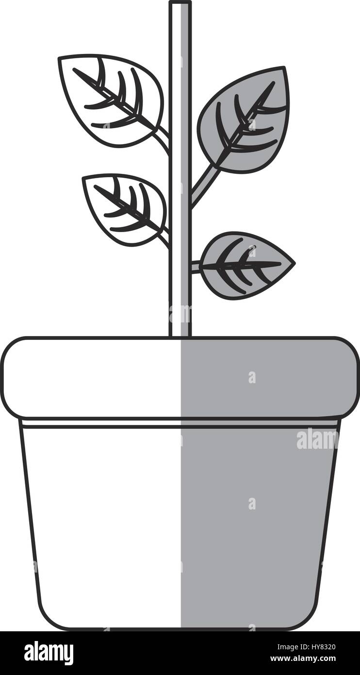 plant in a pot icon over white background. vector illustration Stock ...