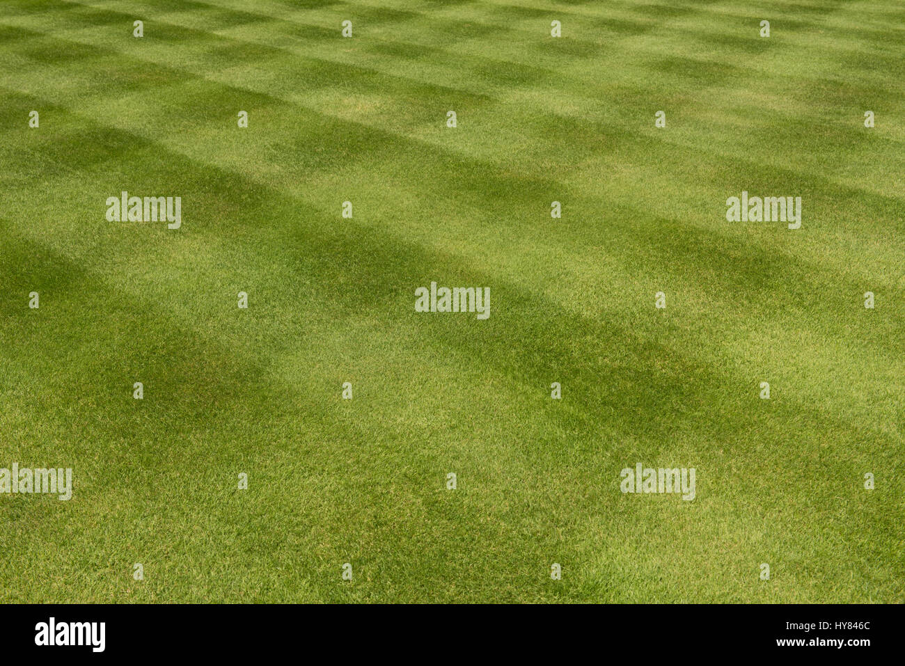 Checkerboard Pattern on a Freshly Mown Green Grass Lawn in a Garden  at Rosemoor in Rural Devon, England, UK Stock Photo
