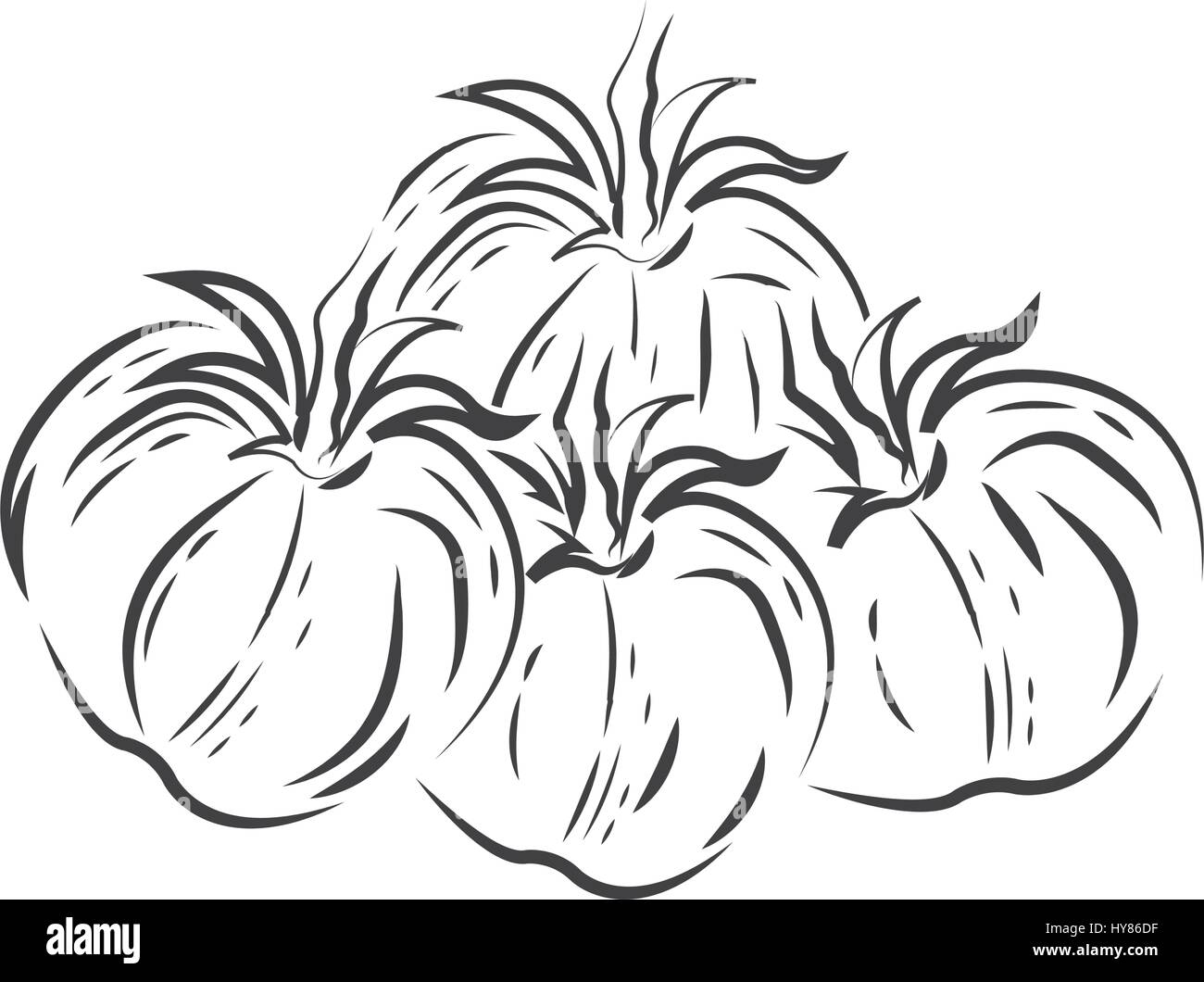 Vector tomato drawing icon stock vector image art alamy