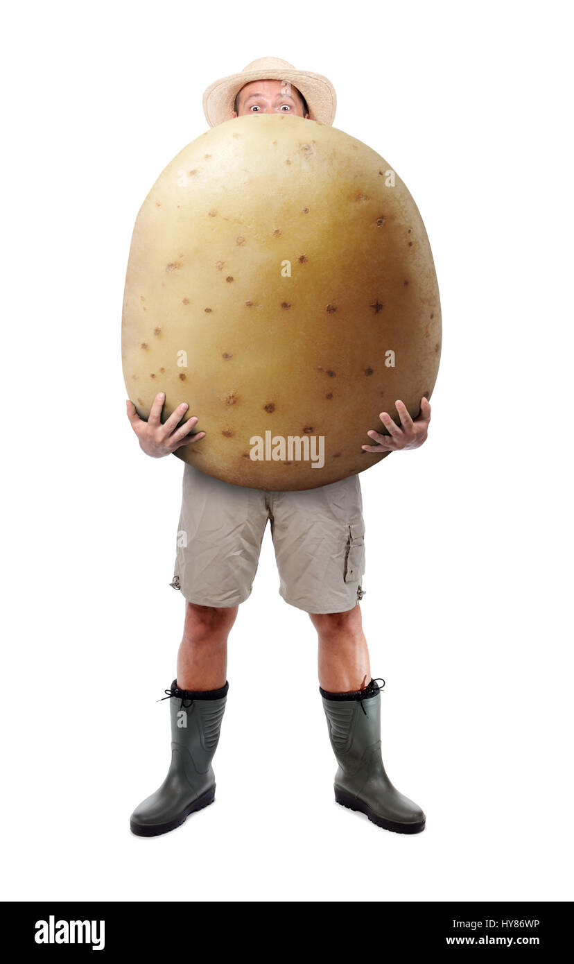 Funny gardener carrying a large potato. A farmer hold big potato isolated on white background. Successful vegetable grower. Large harvest of genetical Stock Photo