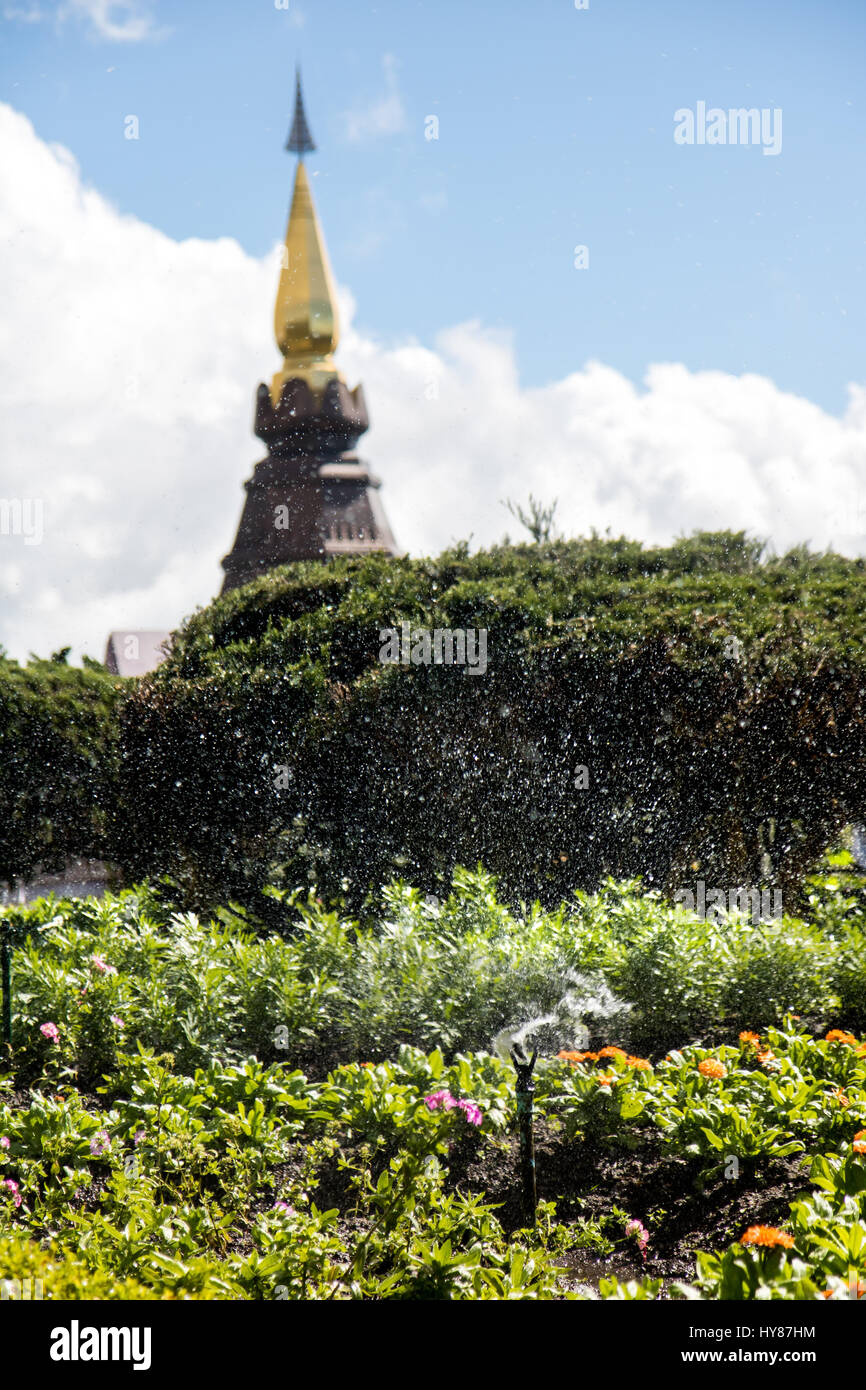 Water sprayed on the garden at the chedi near the summit of mount Doi Inthanon, Chiang Mai province, Thailand. Stock Photo