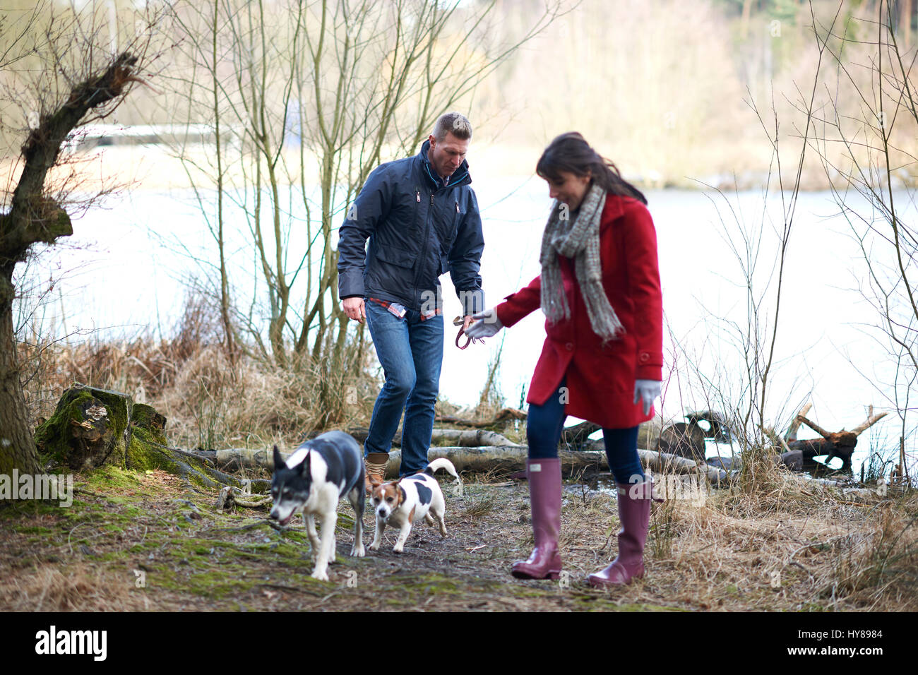 A young couple walk their two dogs in the woods Stock Photo - Alamy