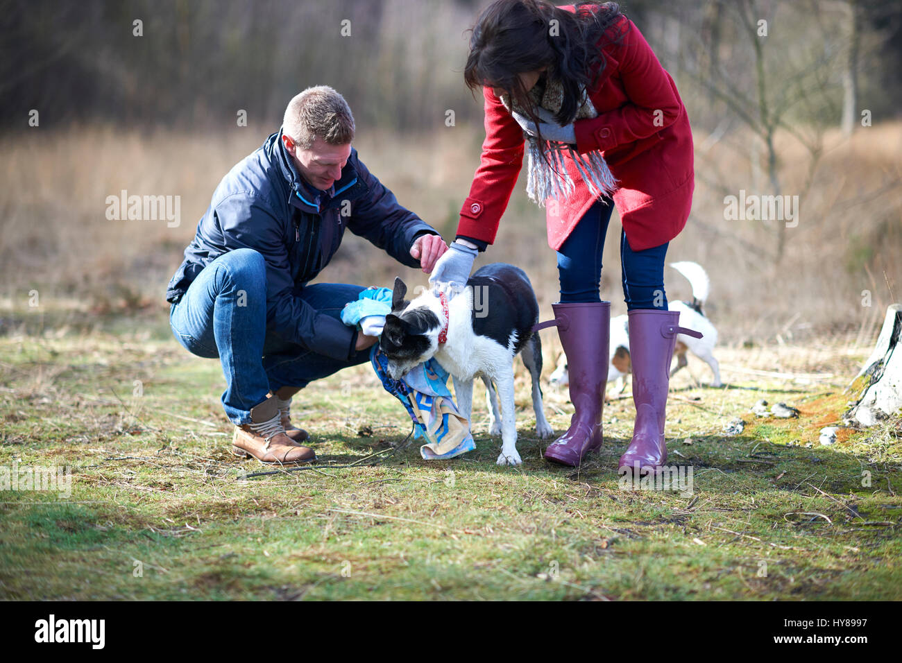 A young couple walk their two dogs in the woods Stock Photo - Alamy