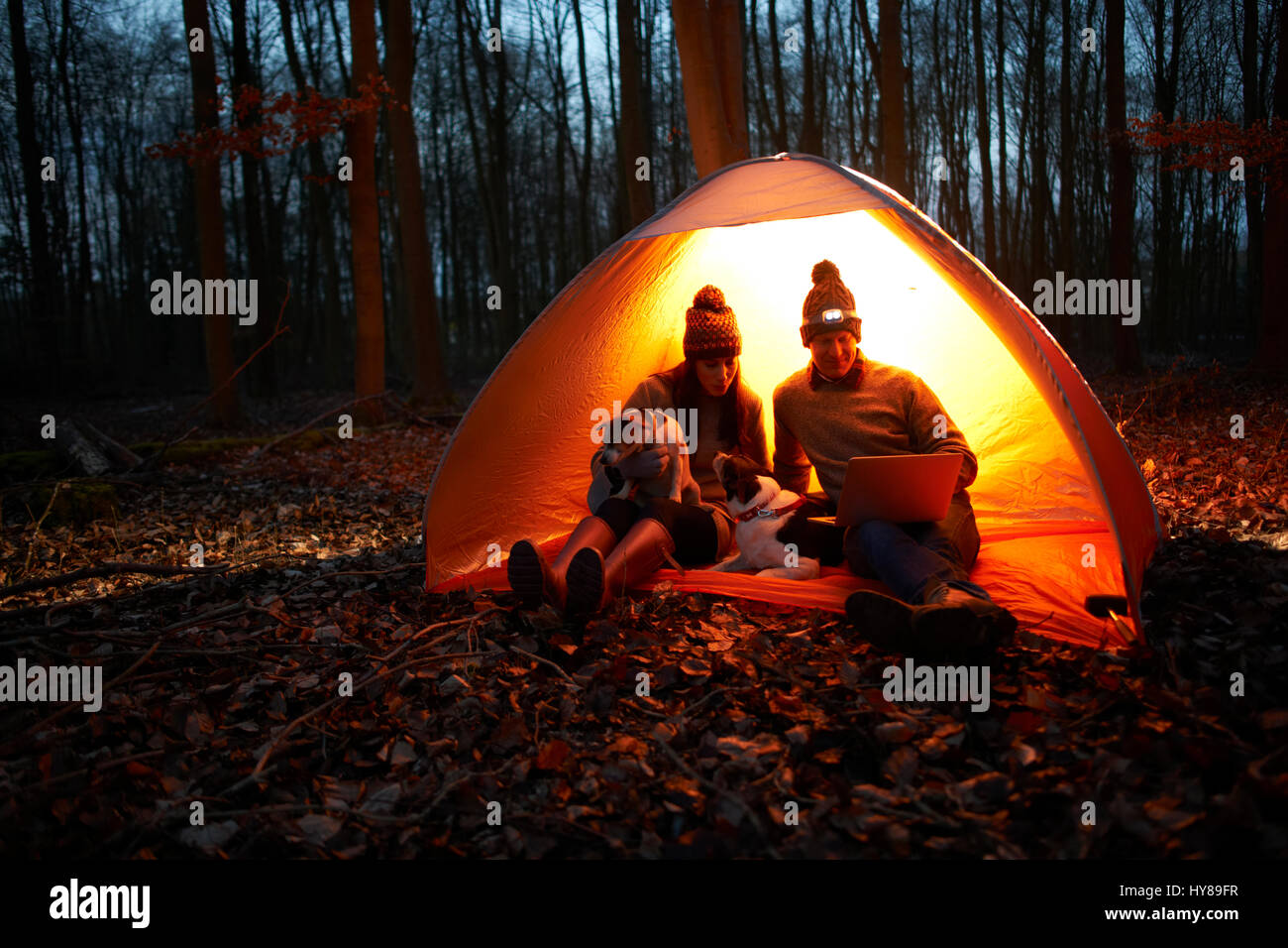 A couple sit in a tent at night with their dogs and look at their laptop Stock Photo