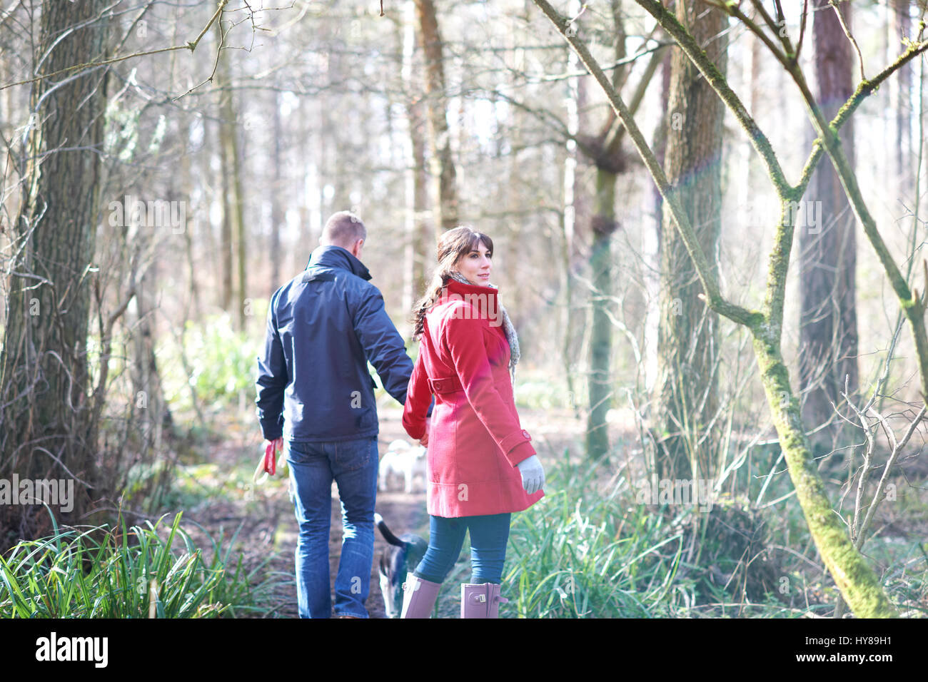 A young couple walk their dogs in the woods Stock Photo - Alamy