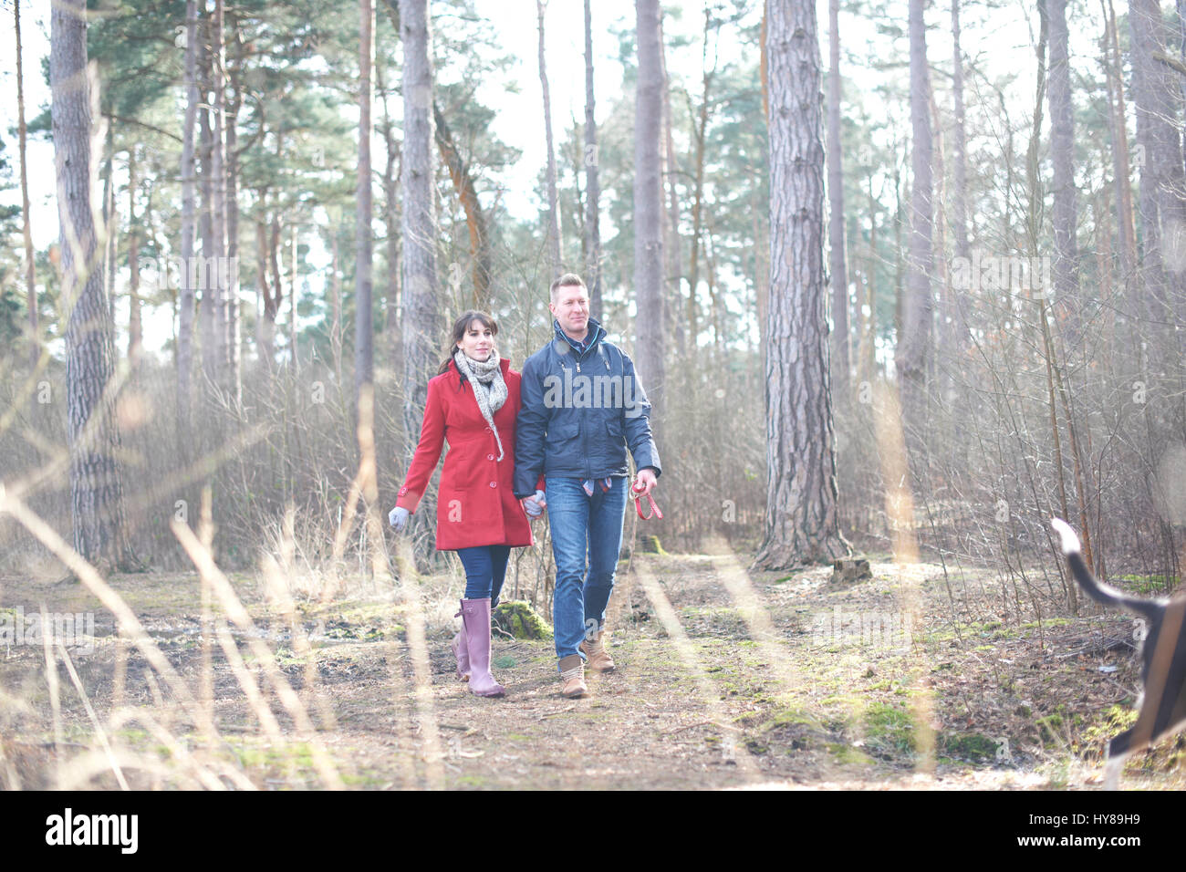 A young couple walk their dogs in the woods Stock Photo - Alamy