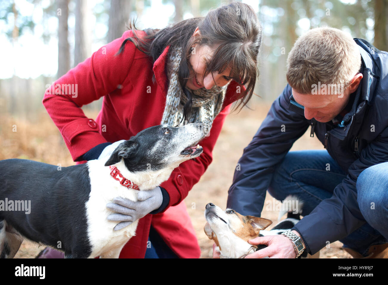 A young couple walk their dogs in the woods Stock Photo - Alamy