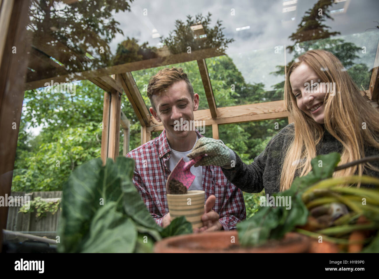 Two young gardeners work in their greenhouse Stock Photo - Alamy