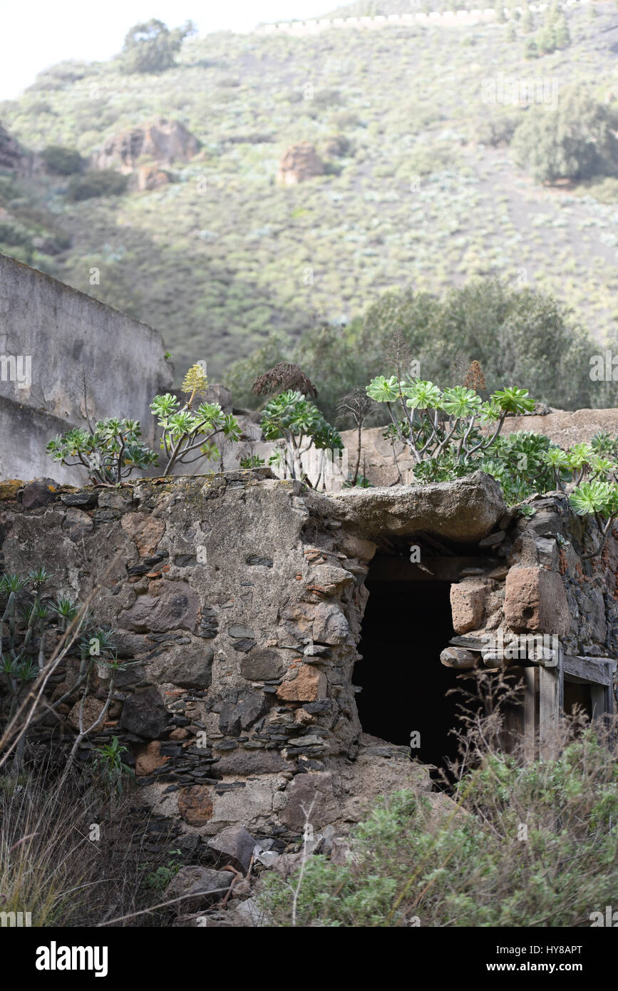 Old abandoned stone house ruins in the mountains Stock Photo - Alamy