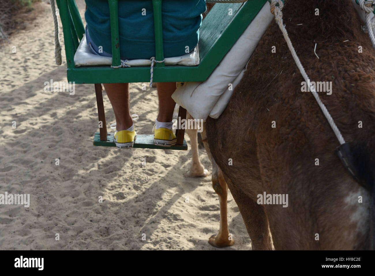 Tourist having tour with a camel Stock Photo