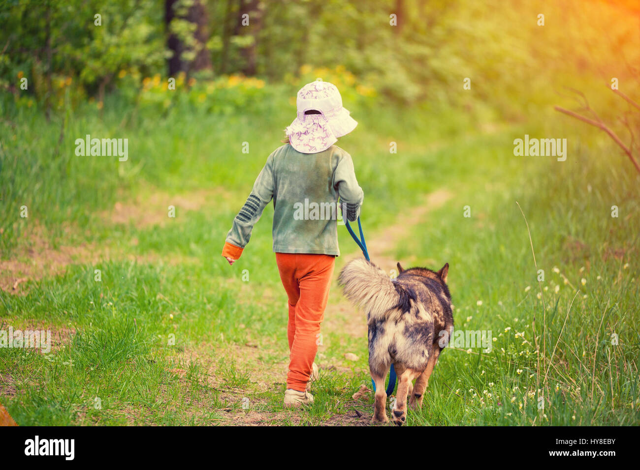 Little girl with dog walking in the forest back to camera Stock Photo ...
