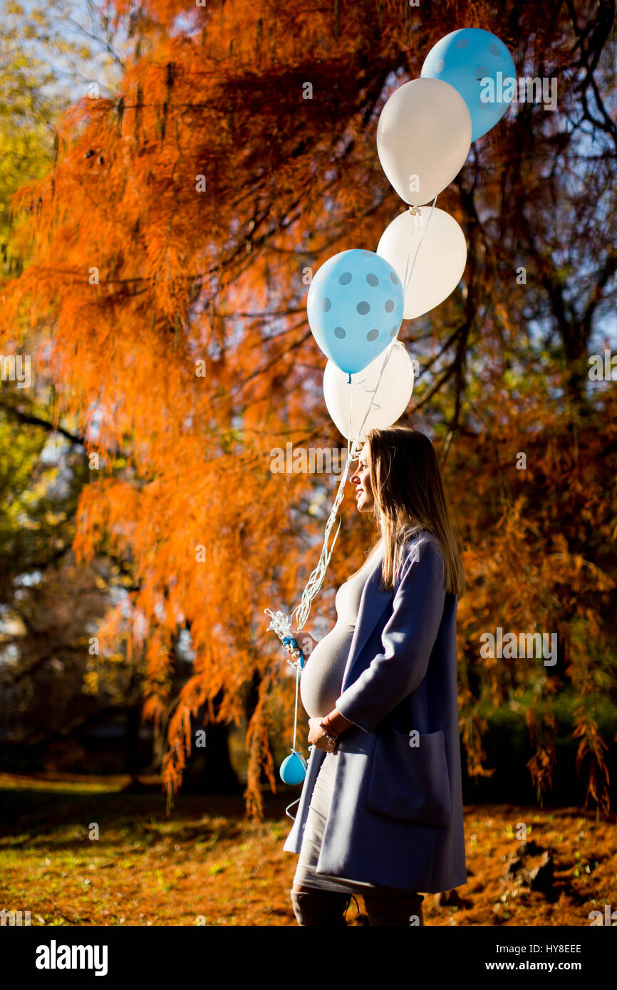 Young pregnant woman walks in autumn park with balloons in hand Stock ...