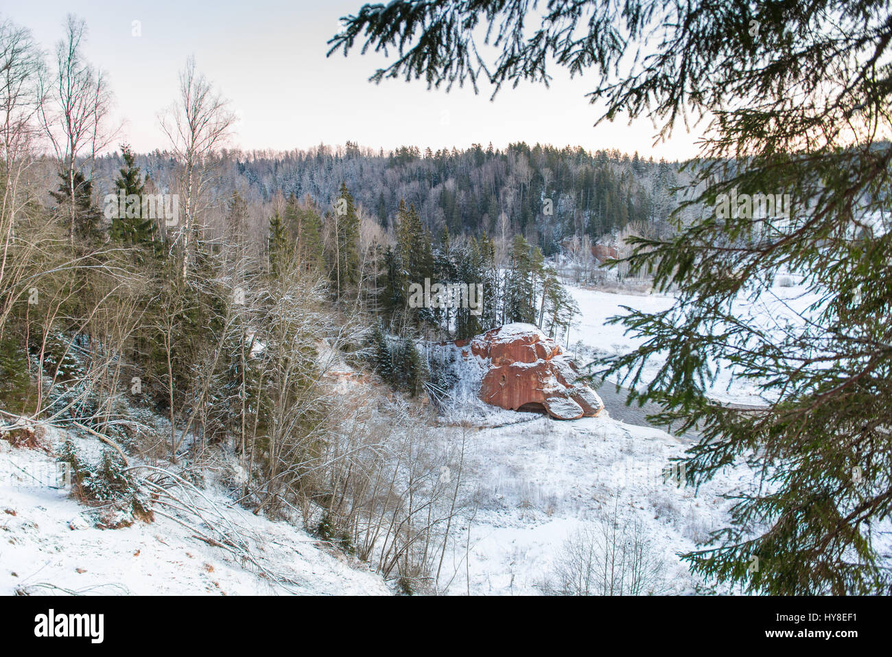 snowy winter forest with snow covered trees in country Stock Photo - Alamy