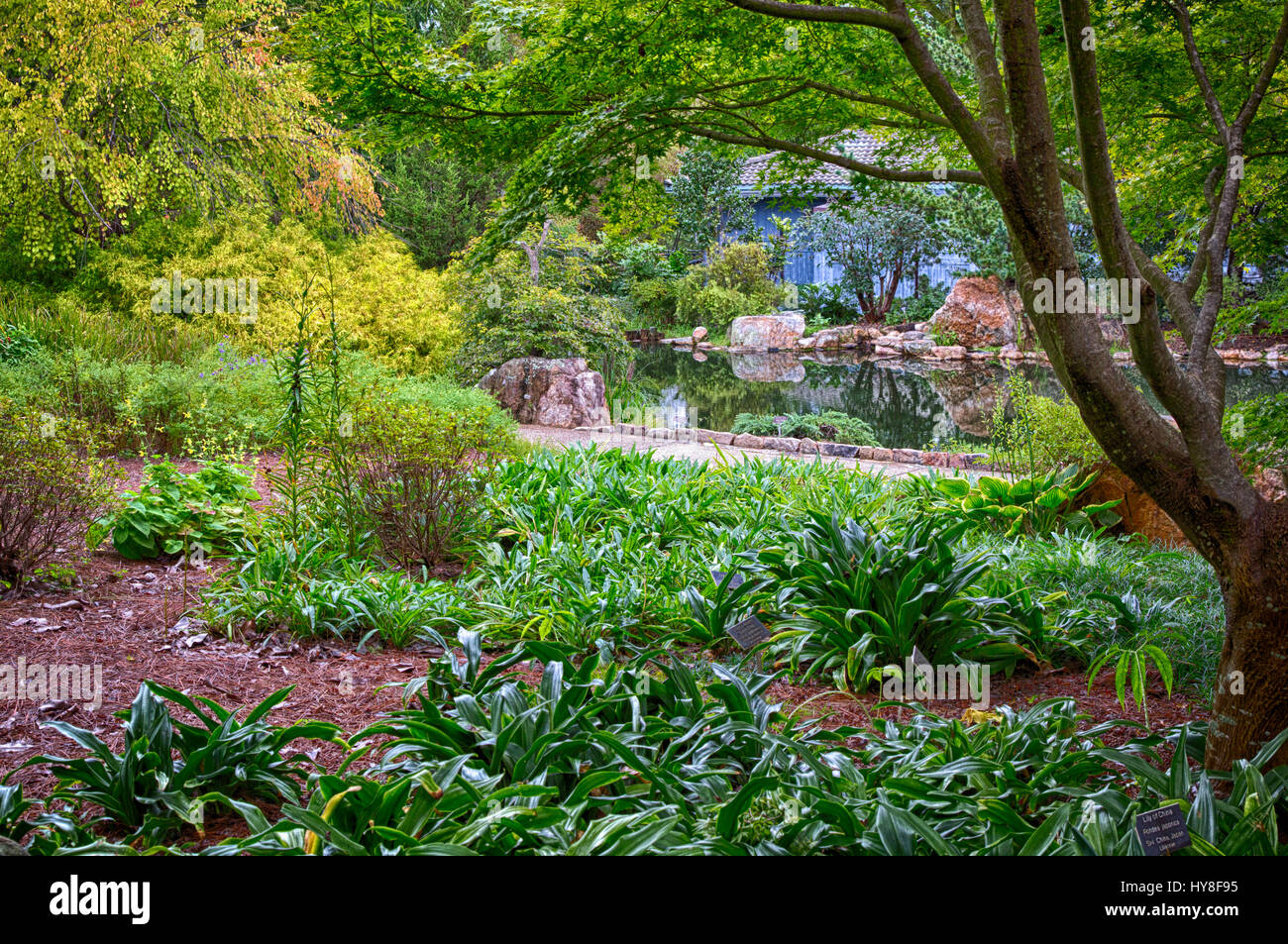 Richmond, Virginia.  Lewis Ginter Botanical Garden, View from the Walkway. Stock Photo
