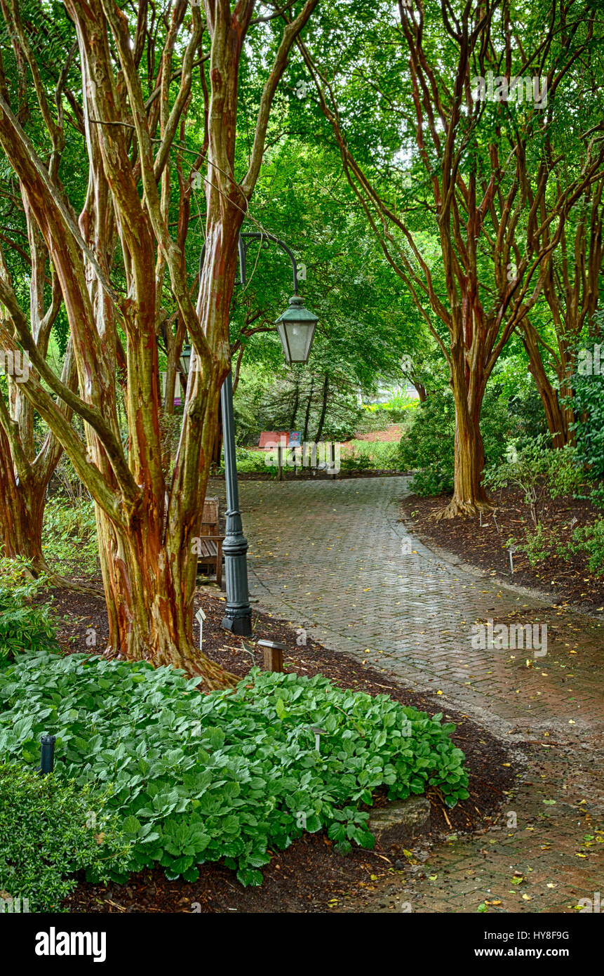 Richmond, Virginia.  Lewis Ginter Botanical Garden, View from the Walkway. Stock Photo