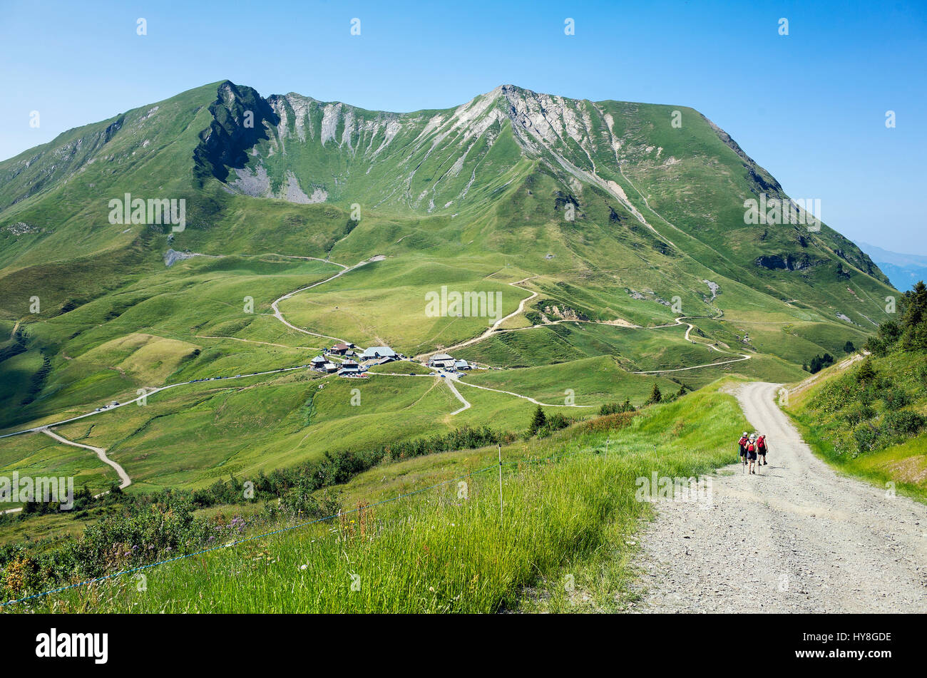 Guide tenant un piolet. Haute-Savoie. France Stock Photo - Alamy